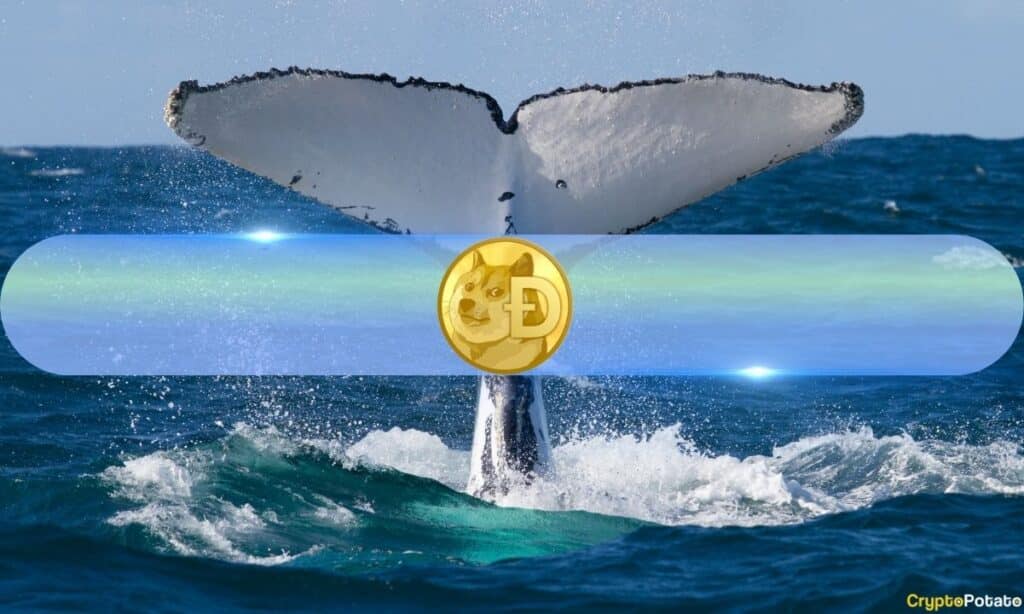 Dogecoin (Doge) Whales Quietly Accumulate As Holdings Register Levels