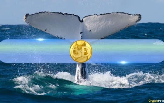 Dogecoin (Doge) Whales Quietly Accumulate As Holdings Register Levels