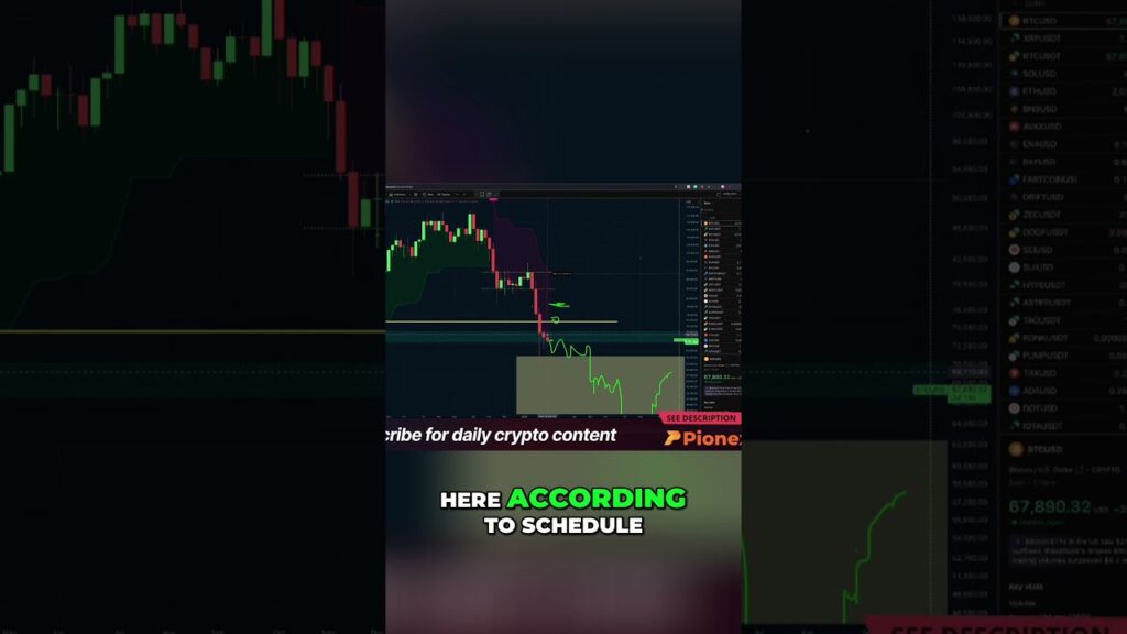 Why Are Bulls So Slow Analyzing Market Trends Shorts