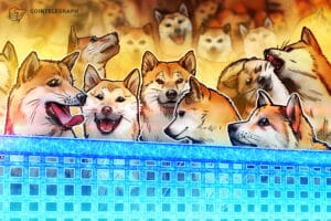 Paxos Adds Dogecoin To Its Brokerage And Custody Platform