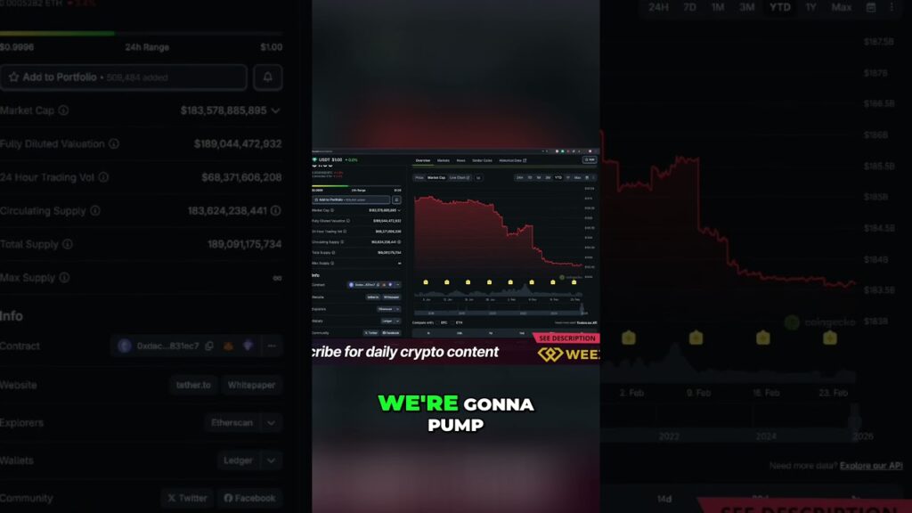 Tether Market Cap Shrinking What It Means For Crypto Shorts