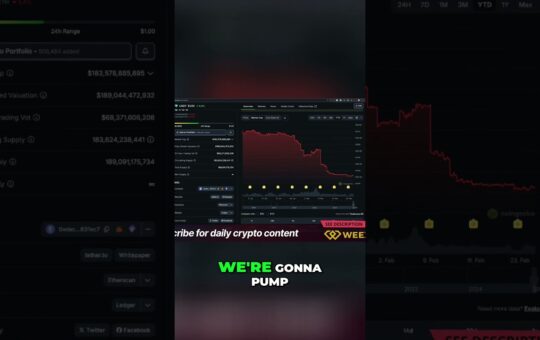 Tether Market Cap Shrinking What It Means For Crypto Shorts